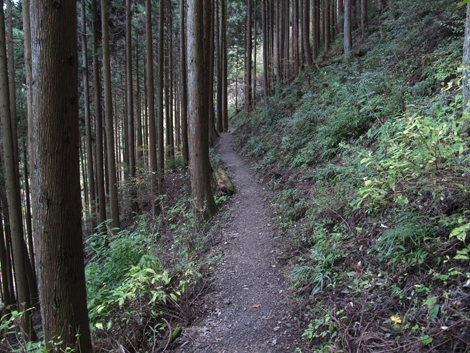 20151116hike (316)